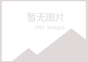 周至县夏岚采矿有限公司